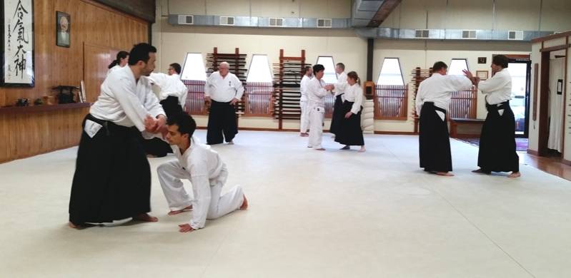 Aula de Aikido para Iniciantes Paulínia  - Academia de Jiu Jitsu