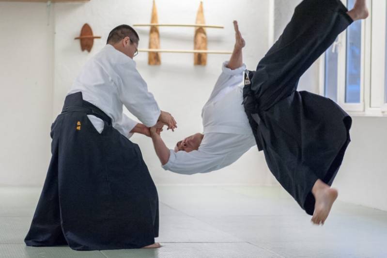 Quanto Custa Aula de Aikido para Iniciantes Campinas - Treino de Judo Infantil