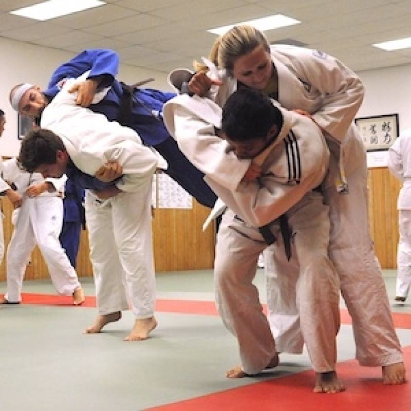 Quanto Custa Aula de Judô Adulto Paulínia  - Academia de Jiu Jitsu