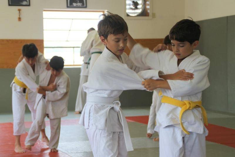Quanto Custa Treino de Judo Infantil Barão Geraldo - Aula de Aikido